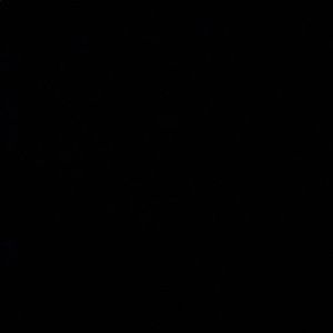 Meet your Posher, Jerek